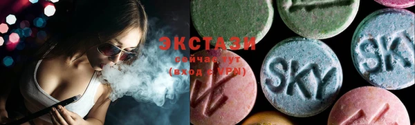 стаф Вяземский